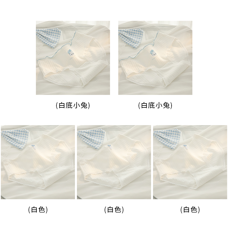 White 3+White Background Little Rabbit 2