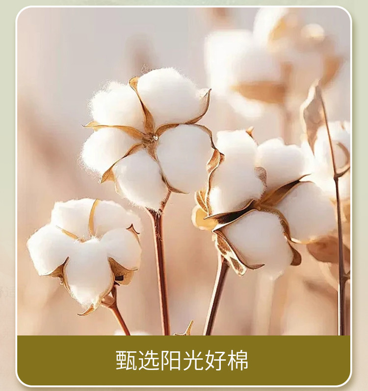 a28534a4b279343d44f01bb4d2ee12a0.jpg