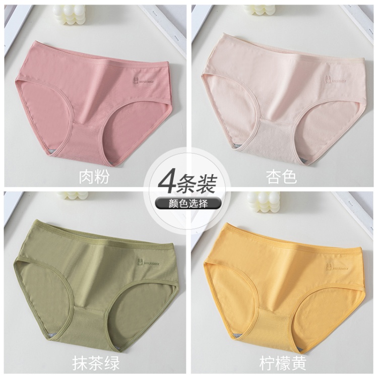 Meat Powder+apricot Color+matcha Green+lemon Yellow