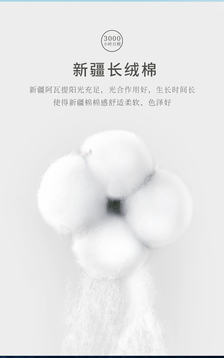 d803f3f35495b1a7a415d09d3dfd80fe.jpg